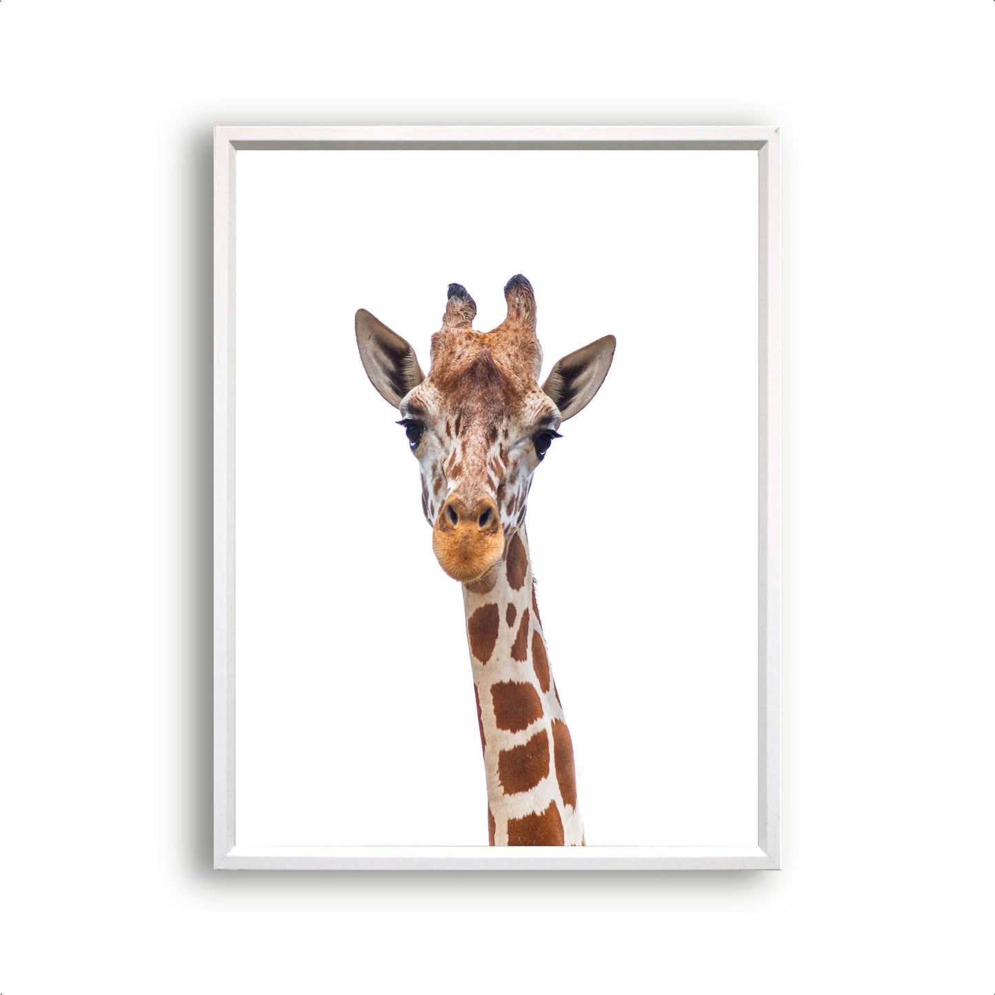 Jungle / safari grote giraf - Dieren