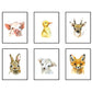 Aquarel dieren schaapje / lammetje - Bos en boerderij