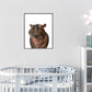 Jungle / safari baby nijlpaard - Dieren