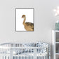 Jungle / safari baby struisvogel - Dieren