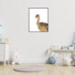 Jungle / safari baby struisvogel - Dieren