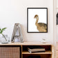 Jungle / safari baby struisvogel - Dieren