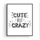 Cute but crazy - Teksten / Motivatie