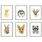 Aquarel dieren wasbeer - Bos en boerderij