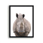 Jungle / safari grote neushoorn - Dieren