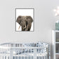 Jungle / safari grote olifant - Dieren