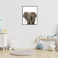 Jungle / safari grote olifant - Dieren