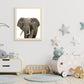 Jungle / safari grote olifant - Dieren