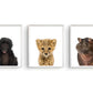 Jungle / safari baby nijlpaard - Dieren