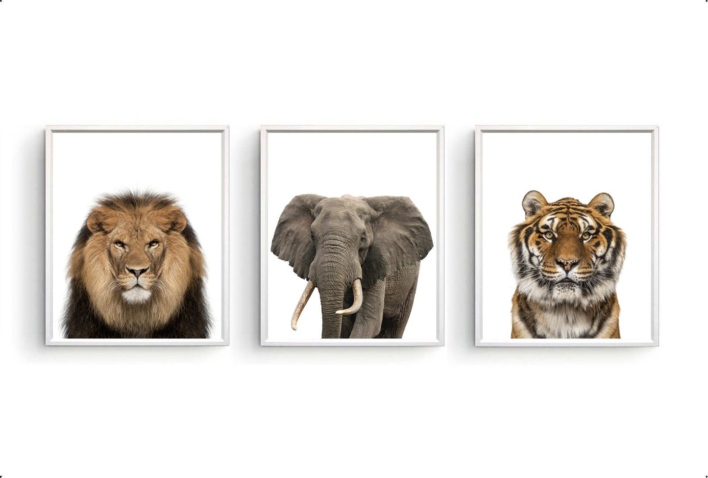 Jungle / safari grote tijger - Dieren