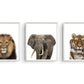 Jungle / safari grote olifant - Dieren