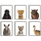 Jungle / safari baby cheeta - Dieren