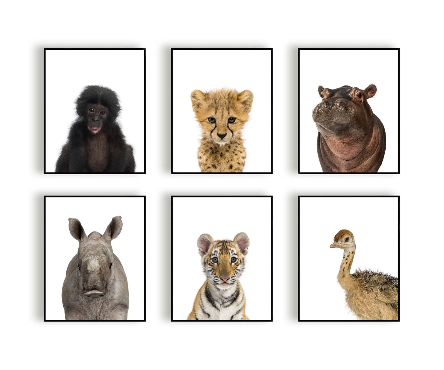Jungle / safari baby neushoorn - Dieren