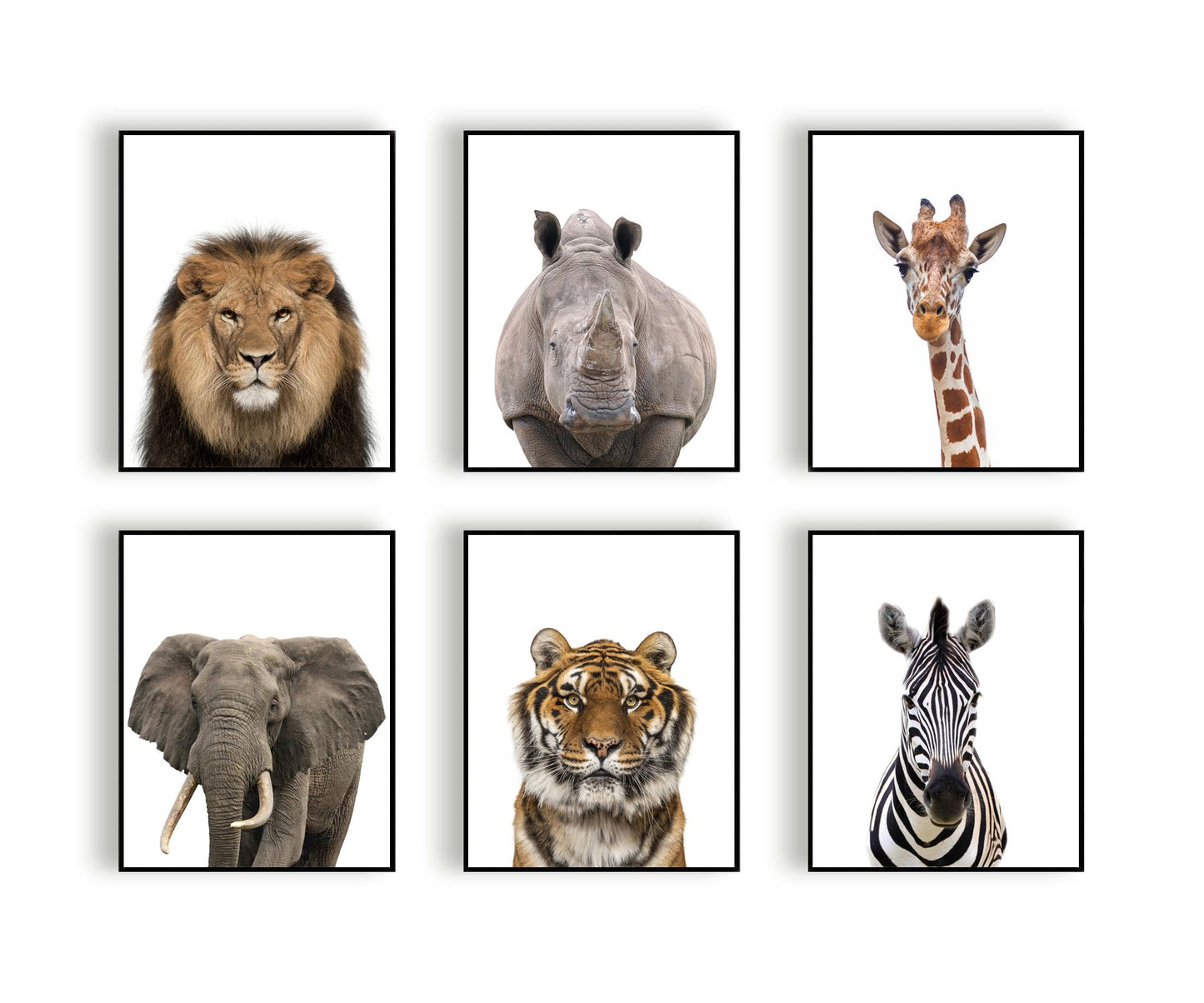 Jungle / safari grote olifant - Dieren