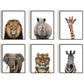 Jungle / safari grote giraf - Dieren