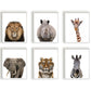 Jungle / safari grote neushoorn - Dieren