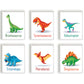 Lieve dino stegosaurus met naam - Dinosaurussen